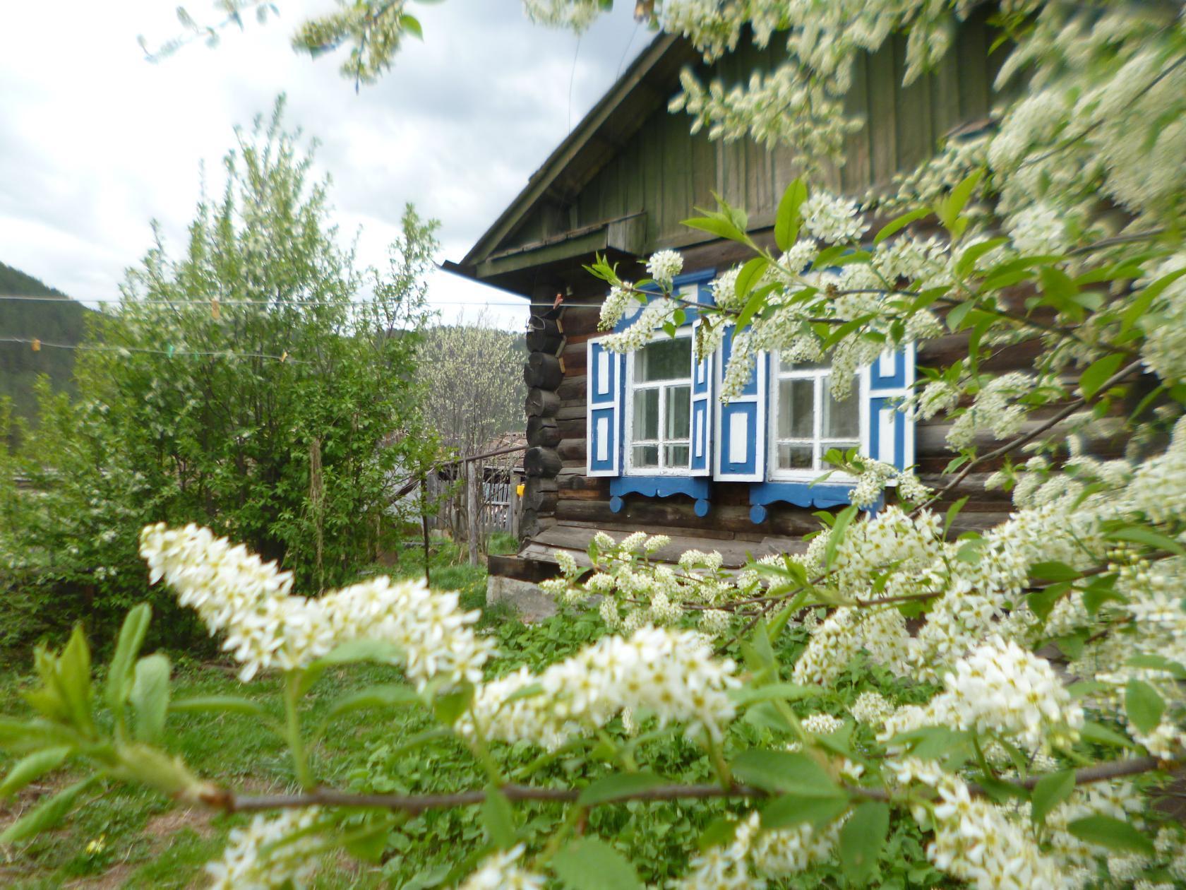 Цветущие сады весной в деревне