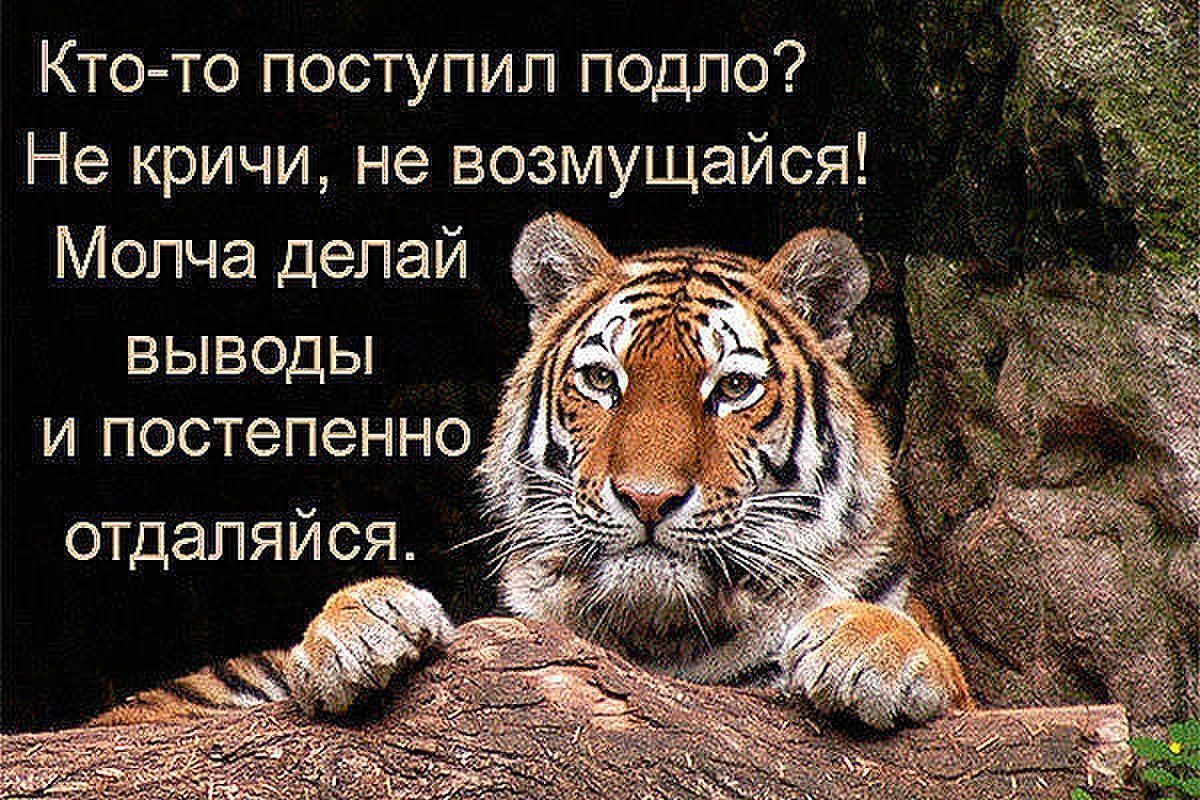 Картинка с надписью вывод