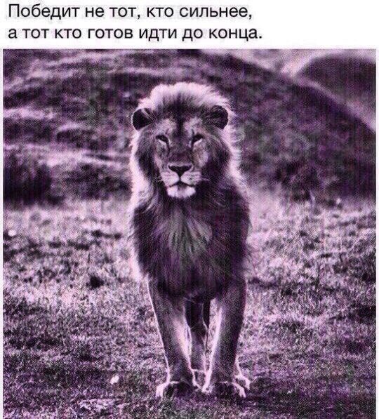 Картинка с надписью ава взаимно, апрелем