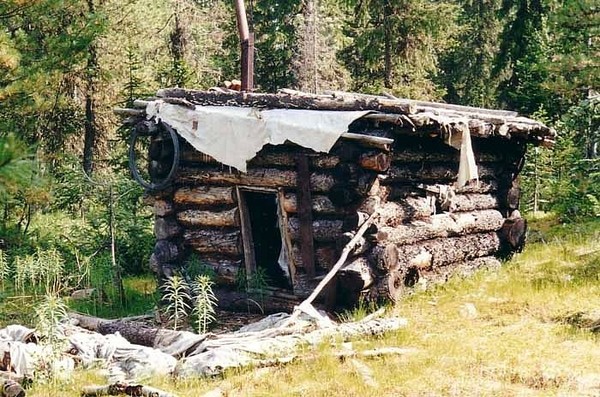 Землянка в тайге фото