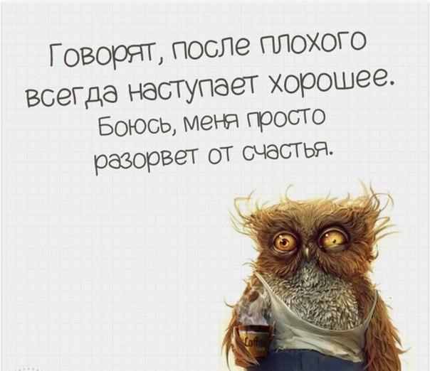 Лечь спать картинки прикольные