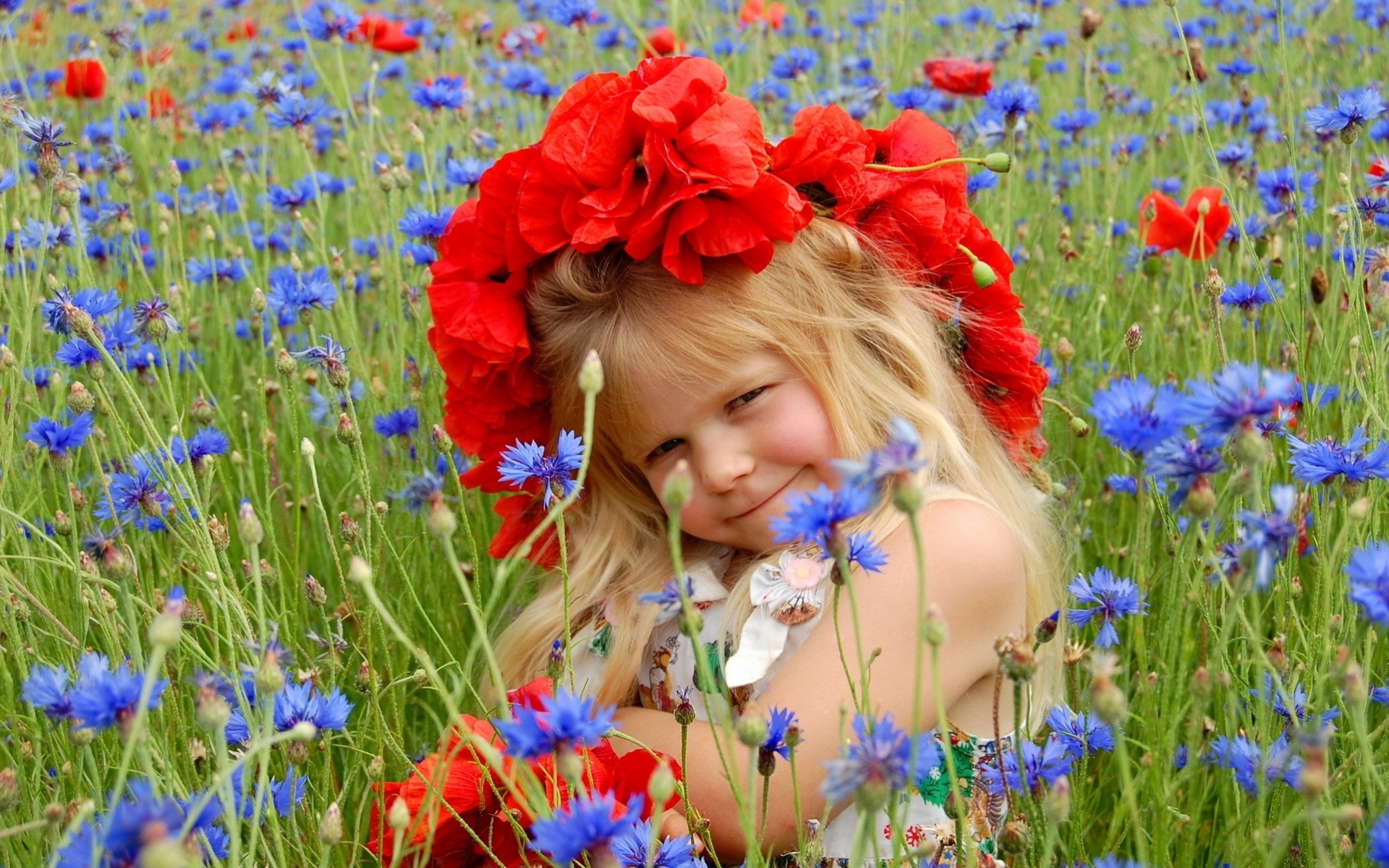 Полевых цветов веночек в утренней слушать. Девушка с васильками. Девушка в поле с васильками. Дети с цветами.