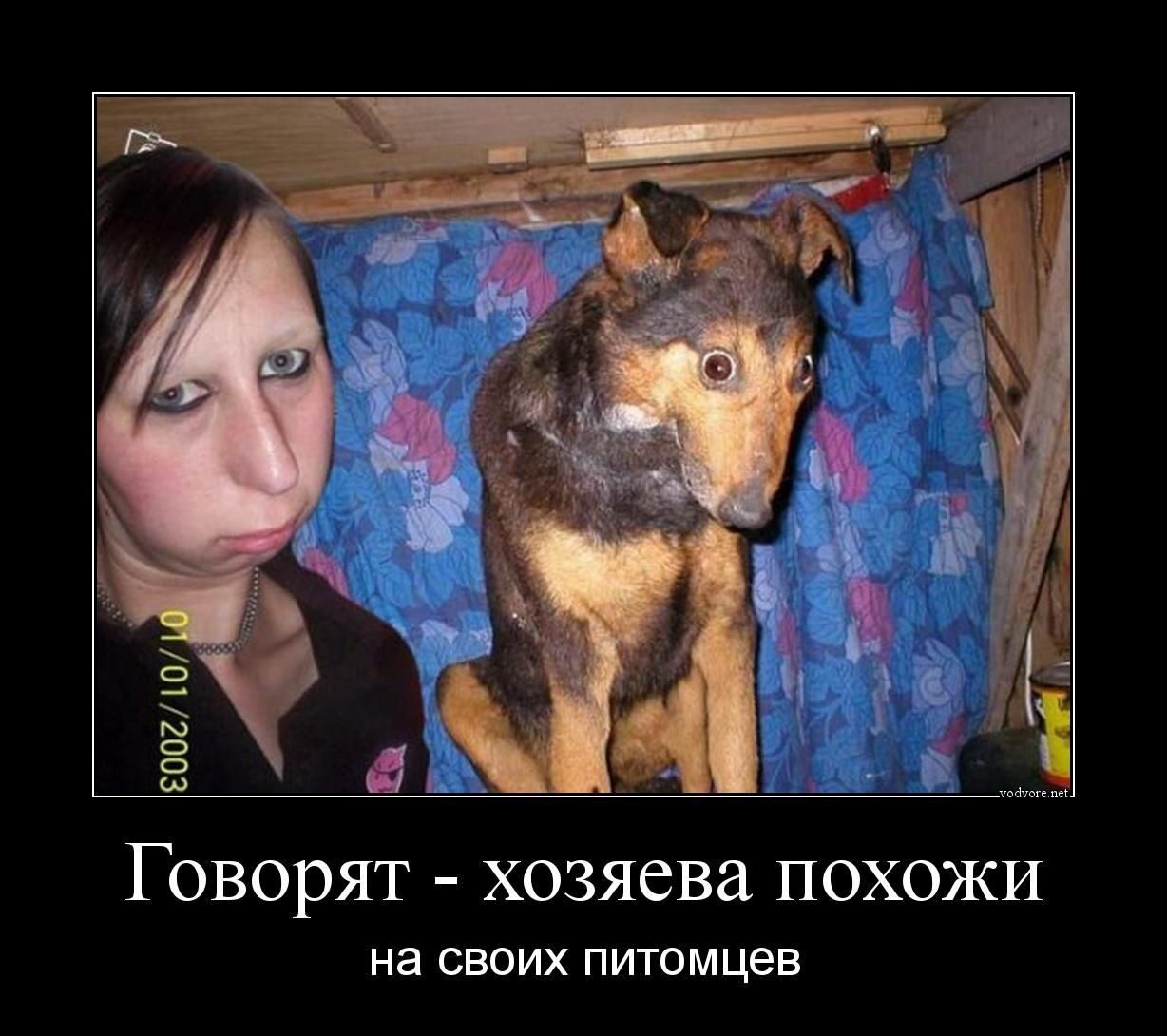Демотиваторы 101