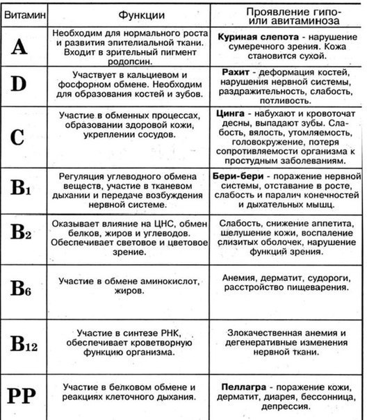 Значение витаминов для организма таблица