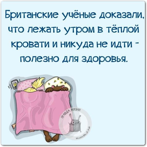 Прикольные картинки для статуса ватсап