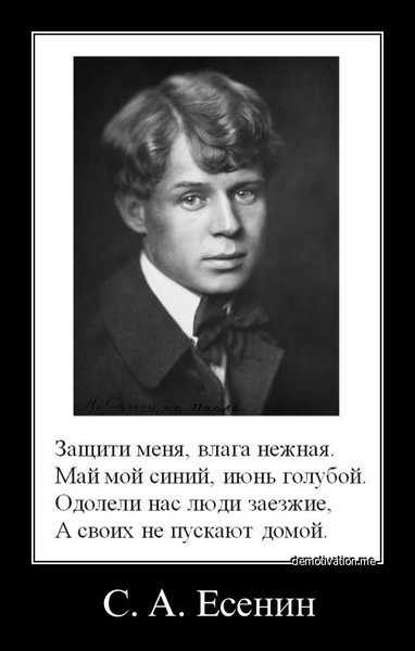 Есенин смешные картинки