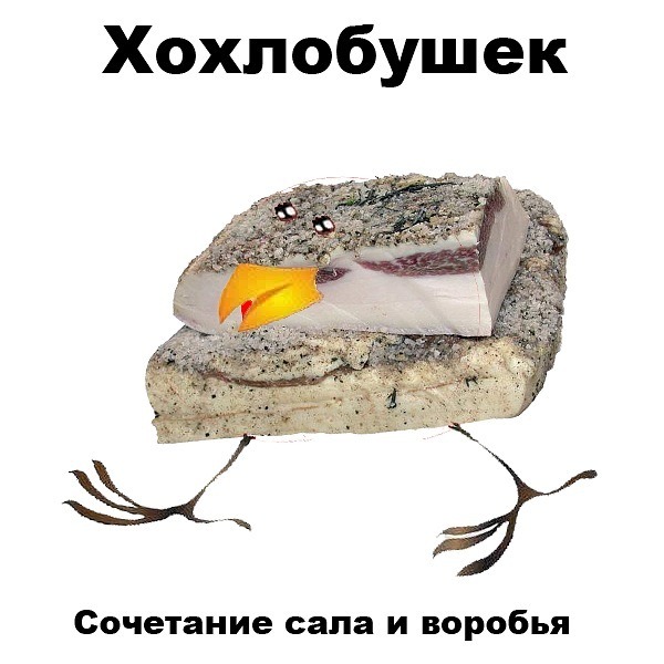 Смешные картинки про творог, надписями про дружбу