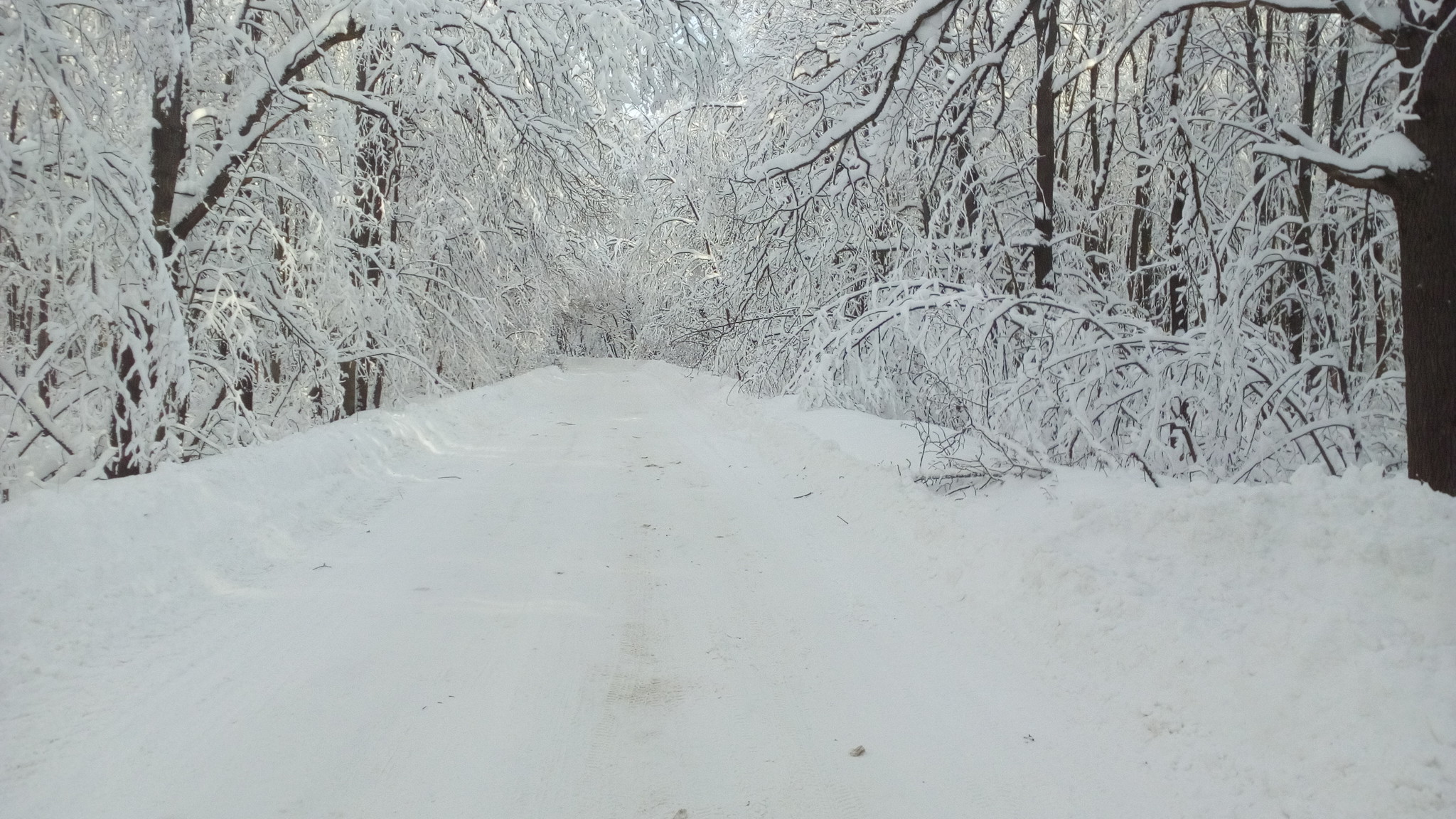 Рыхлый снег это какой. Рыхлый снег. Рыхлые сугробы. Рыхлый снег фото. Рыхлый снег на дороге.