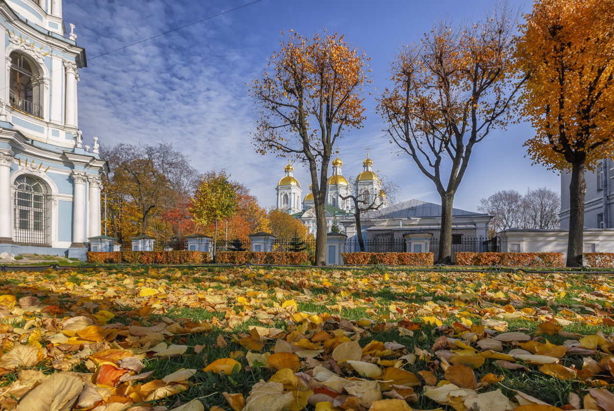 Питер В Начале Ноября Фото