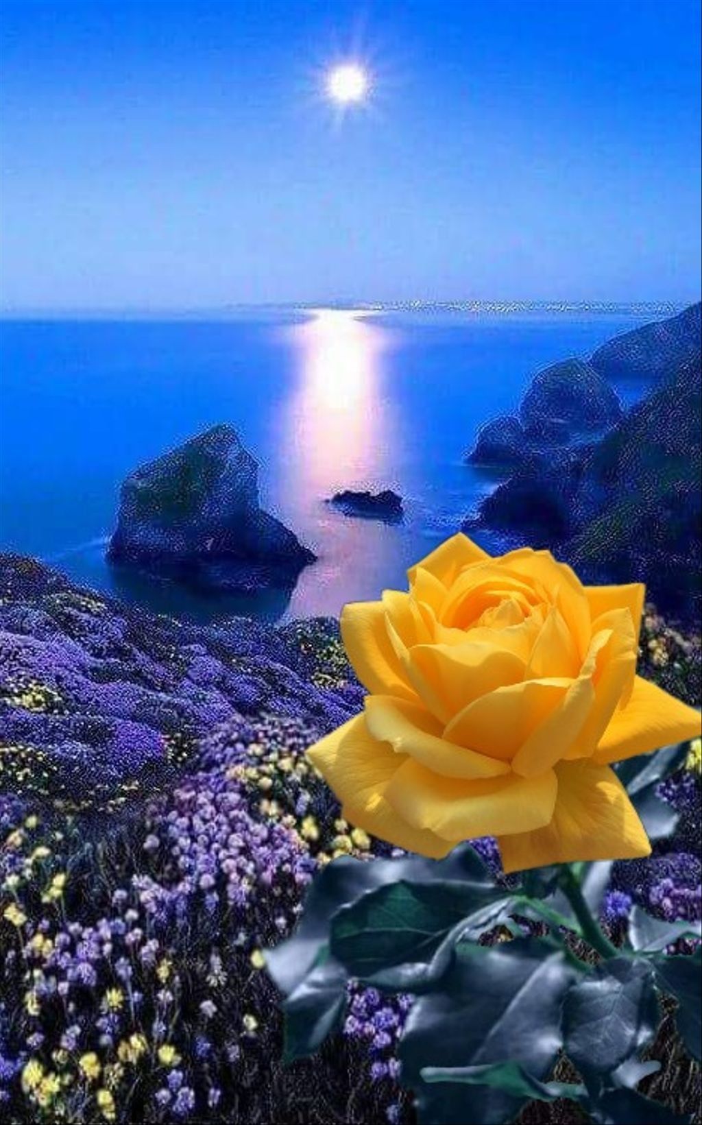 Благословенной весенней ночи. Спокойной ночи цветы. Цветы и море. Спокойной ночи цветы и море. Добрый вечер спокойной ночи цветы.