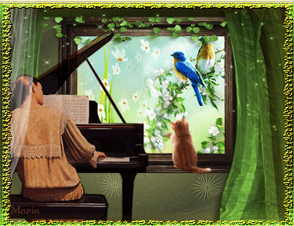 Звук птиц для кошек слушать. Птички на окна. Птица поет за окном. Окно анимация.