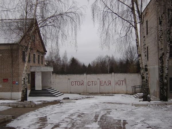 красивый цветник дисбат фото минск это сути